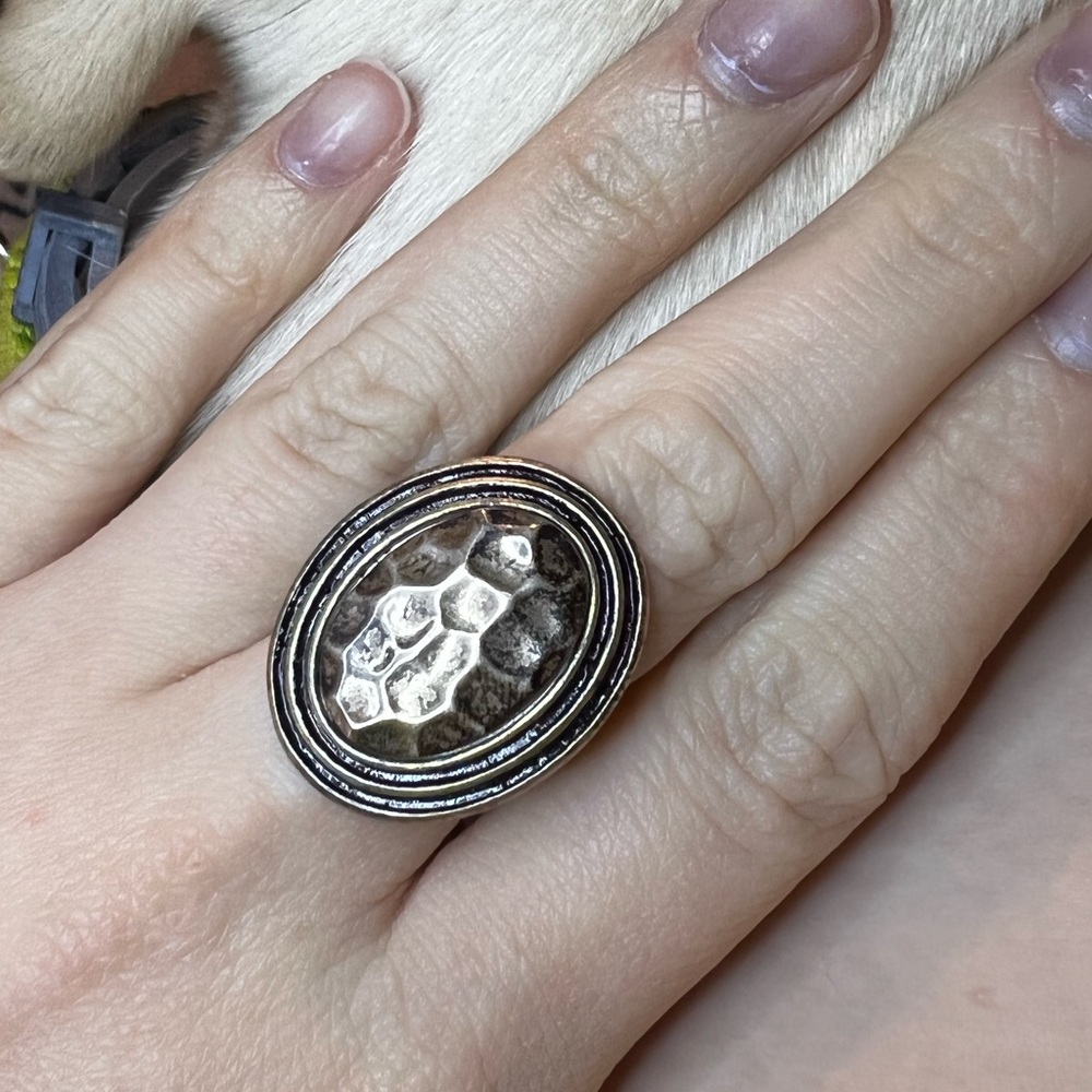 Premier Designs “Momentum” ring